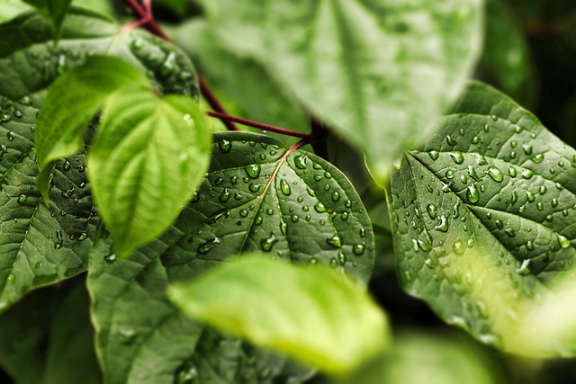 Eco-friendly cleaning products and sustainable methods used for restaurant cleaning in London