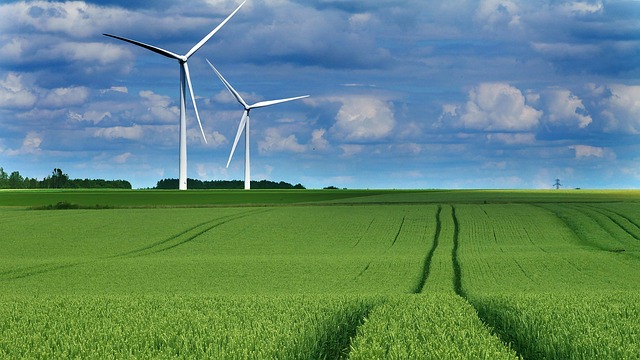 Eco-friendly products used for green office cleaning in London workplaces