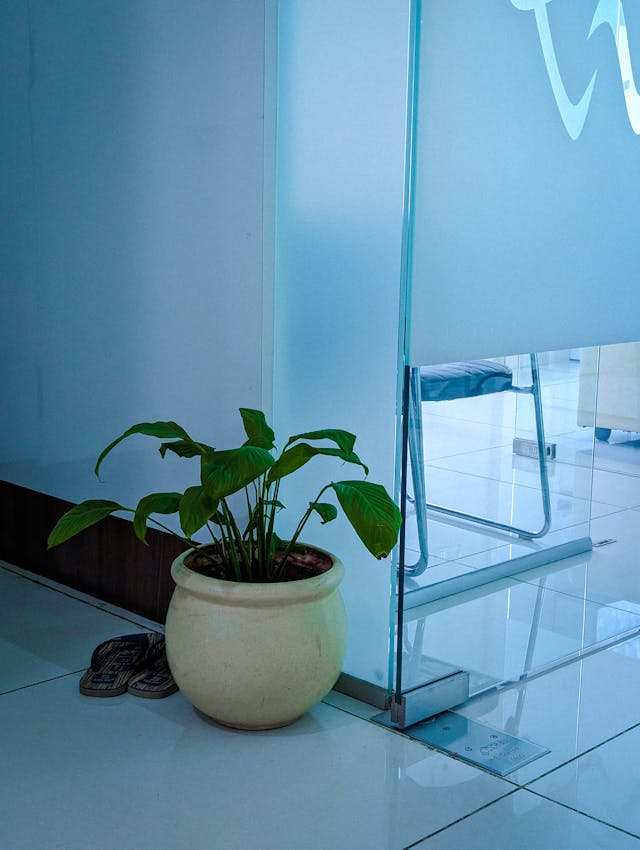 Hard floor maintenance for commercial floor types in London